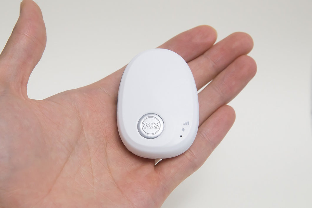 white alarm in palm